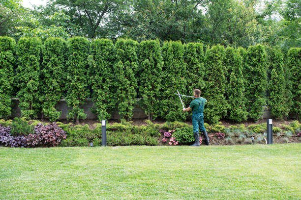 Mulching Services in Las Vegas, NM